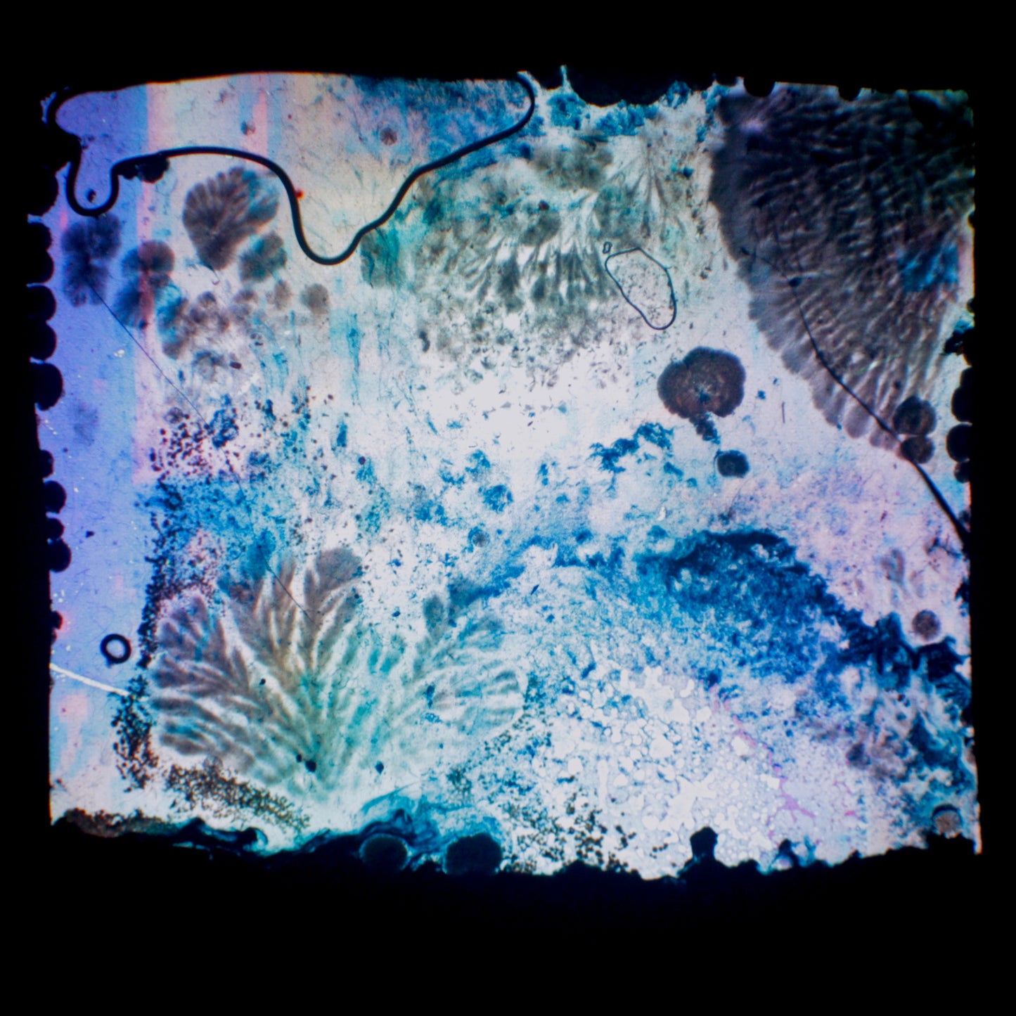 Franck Paglieri - 25 mars 00 2'02" - Série des Tableaux (é)mouvants