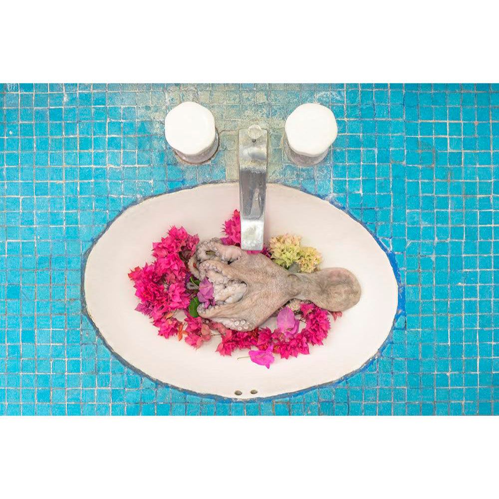 Jorge Villarreal - Dani