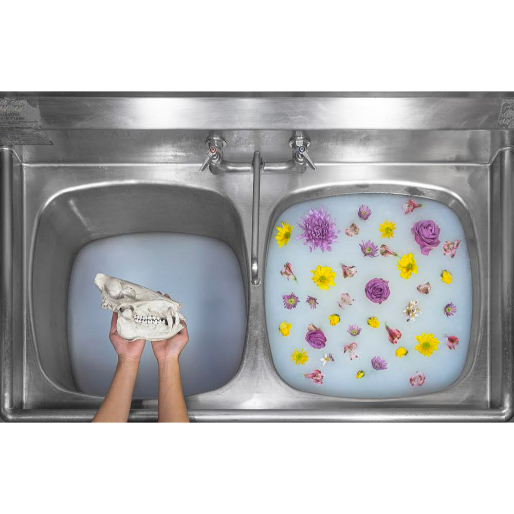 Jorge Villarreal - Leopoldo