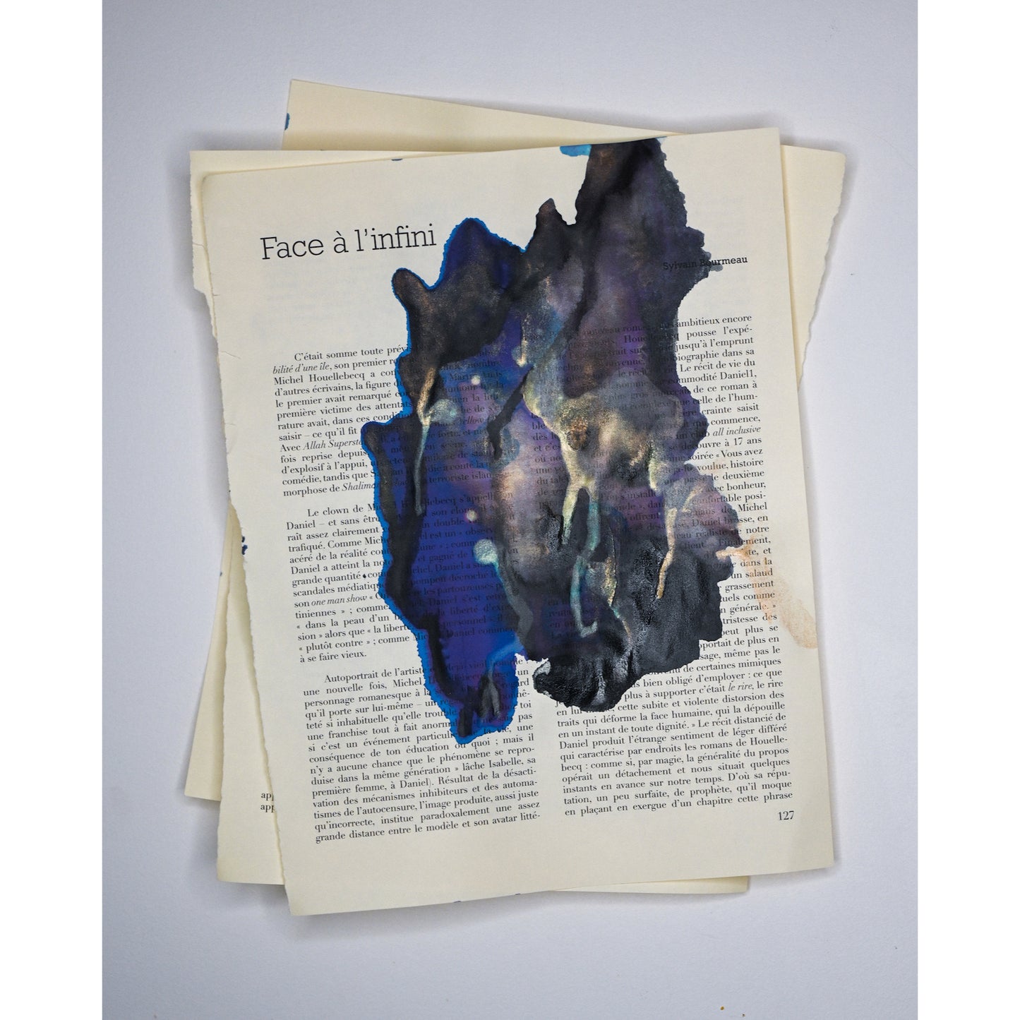 Léandre Renoir - Série Les évanescences