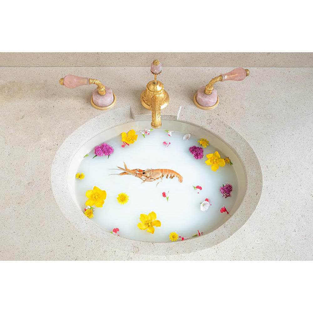 Jorge Villarreal - Shrimp