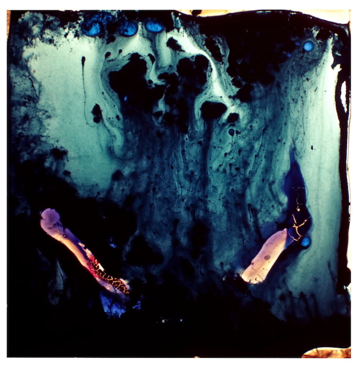 Franck Paglieri - Old blue shoe Triptyque (Série des Tableaux (é)mouvants)