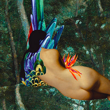 Ut Barley - Chimère I