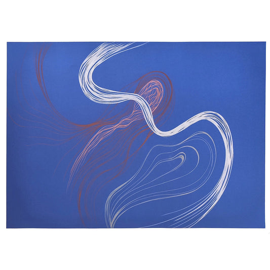 Raphaële Bidault-Waddington - Out of Body Experience n°12