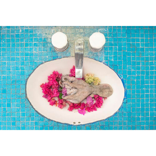 Jorge Villarreal - Dani