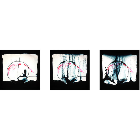 Franck Paglieri - Accross the univers Triptyque (Série des Tableaux émouvants)