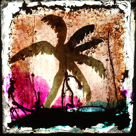 Franck Paglieri - Arecaceae 9'56" (Série des Tableaux émouvants)