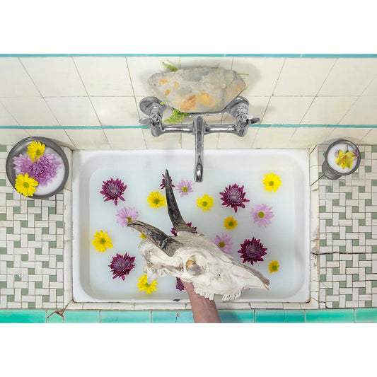 Jorge Villarreal - Armand