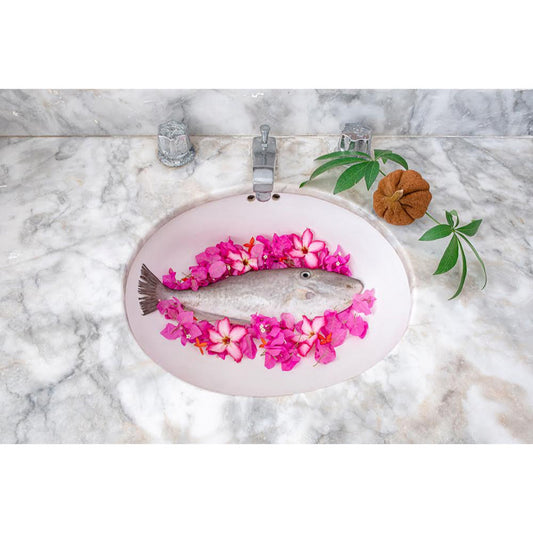 Jorge Villarreal - Dani II