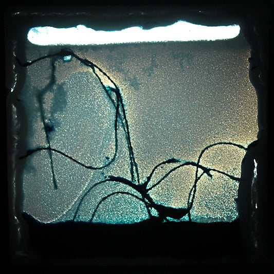 Franck Paglieri - Hibernatus 3'09" (Série des Tableaux (é)mouvants)