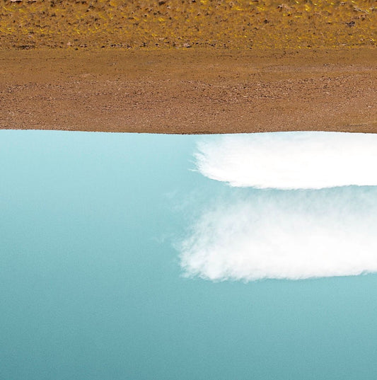 Koa Li - Série "Human Process"