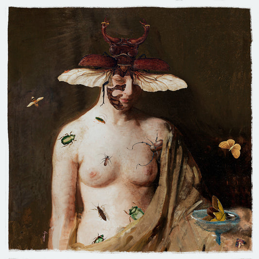 Ut Barley - Insect Queen