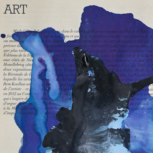 Léandre Renoir- Série Les évanescences