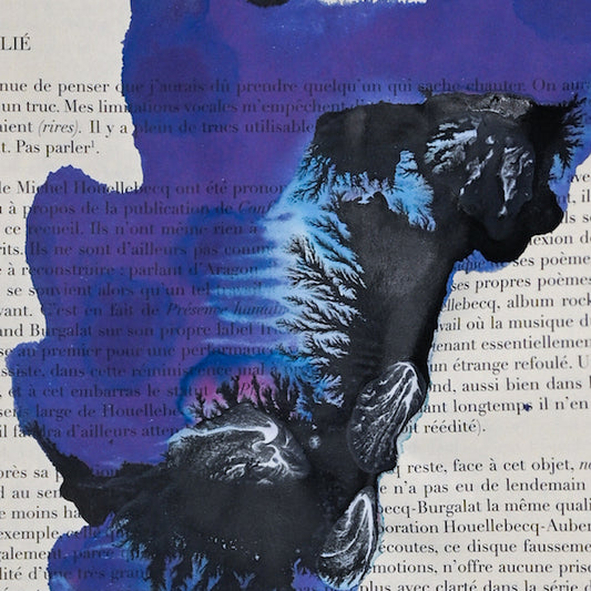 Léandre Renoir - Série Les évanescences