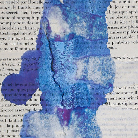 Léandre Renoir - Série Les évanescences