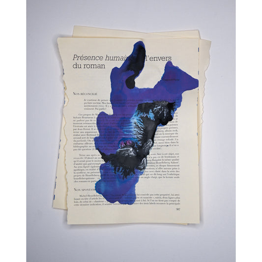 Léandre Renoir - Série Les évanescences