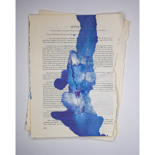 Léandre Renoir - Série Les évanescences