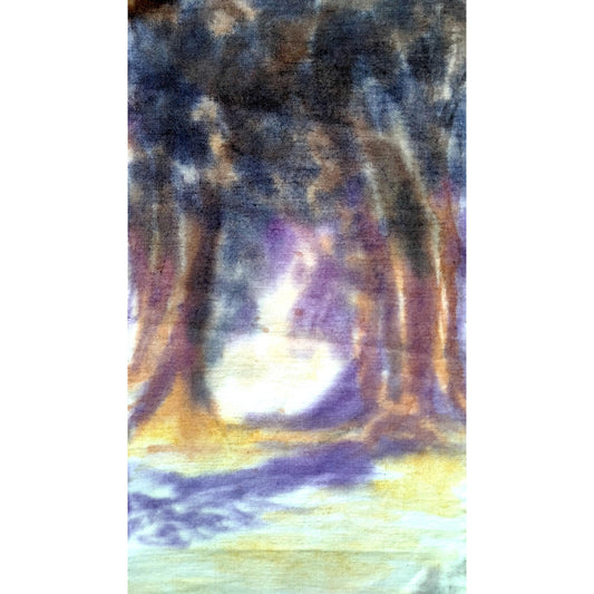 Ava Fischbach - Sans ombre les arbres n'ont pas chaud