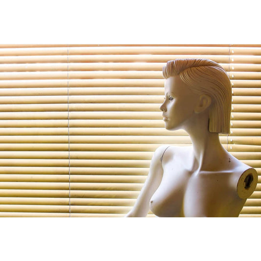 Claire-Marie Régent - Série Industrie corporelle - Sans titre