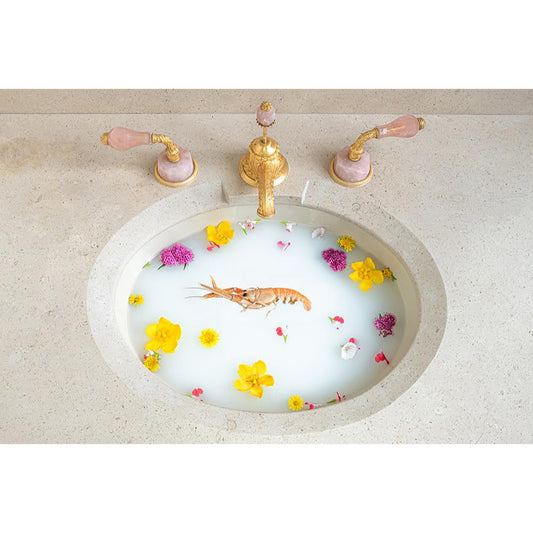 Jorge Villarreal - Shrimp